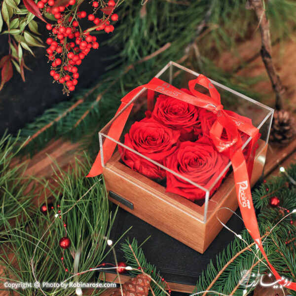 باکس گل جاودان روبینا رز با چهار عدد گل رز هلندی به رنگ قرمز