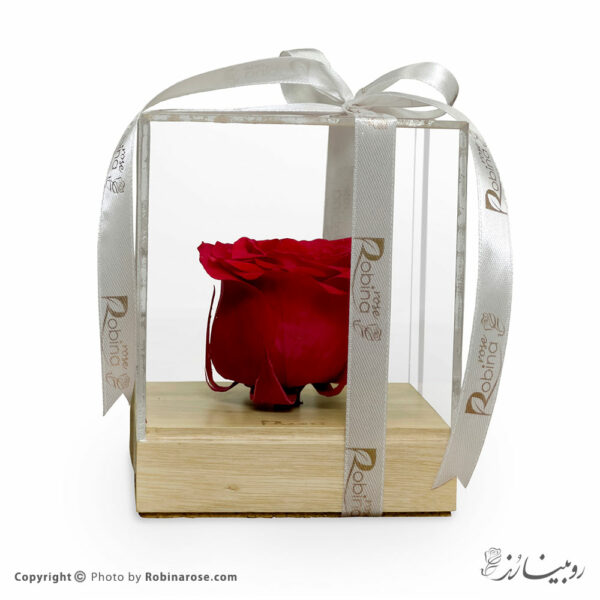 باکس گل رز جاودان قرمز با پایه چوبی