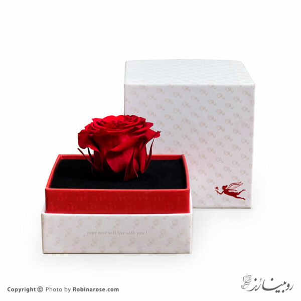 باکس گل رز جاودان قرمز