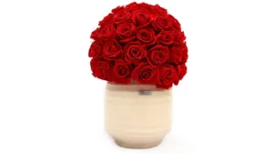 گلدان طبیعی هدیه روز زن