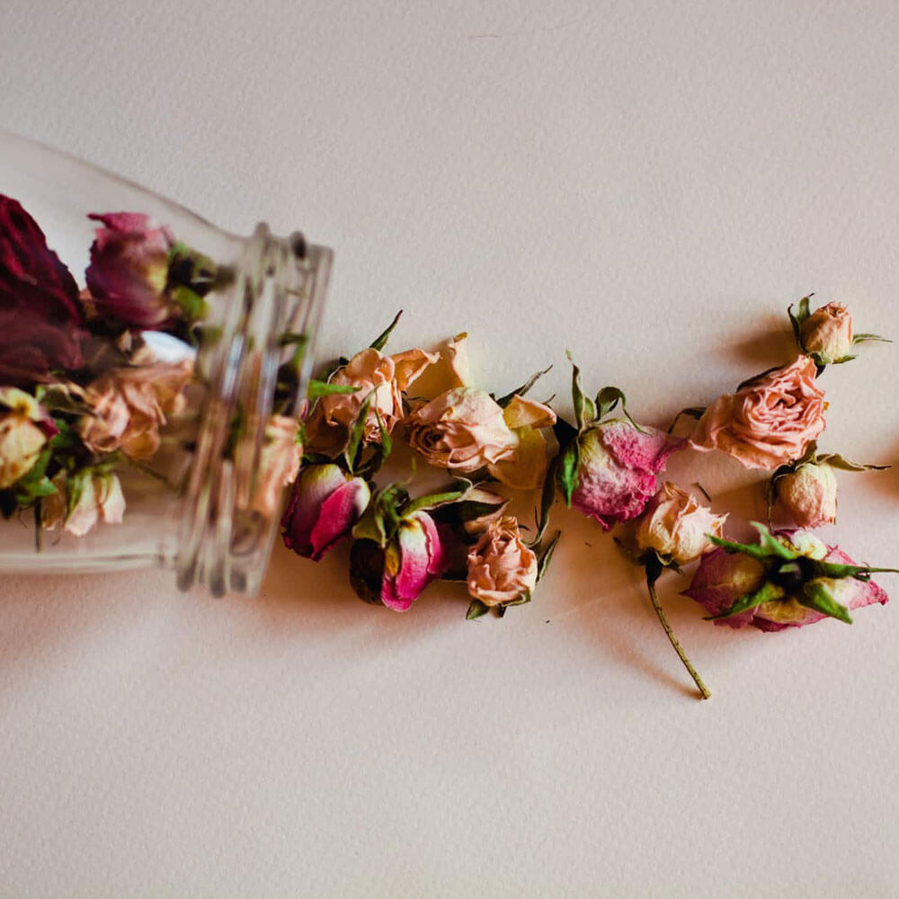 گل های رز خشک شده درون یک باکس شیشه ای