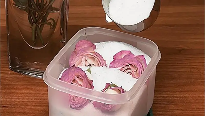 روش های مختلف خشک کردن گل رز