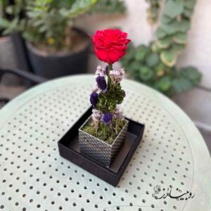 باکس لاور تک گل رز جاودان