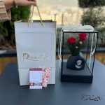 گلدان رز جاودان طرح آچیلا مشکی - تصویر 2