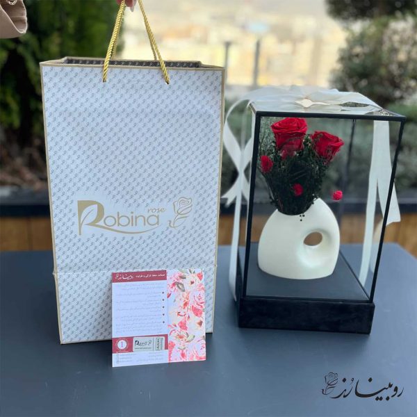 گلدان رز جاودان طرح آچیلا کرم - تصویر 2