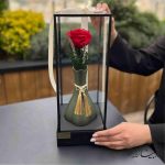 گلدان رز جاودان طرح کاملیا سبز
