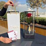 گلدان رز جاودان طرح کاملیا مشکی - تصویر 2