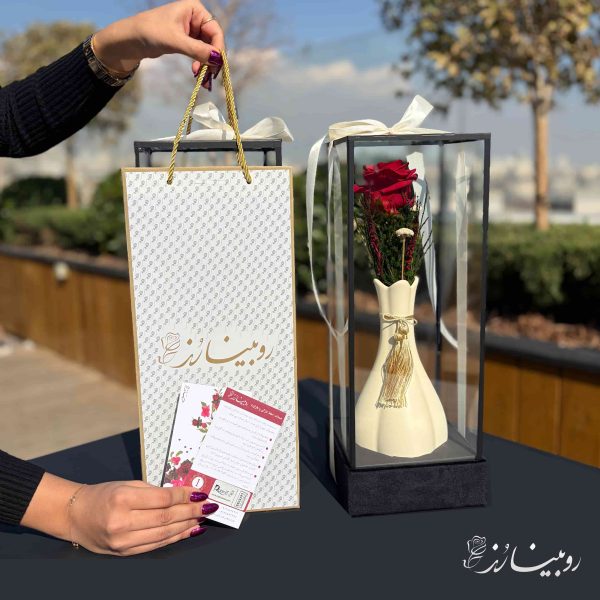 گلدان رز جاودان طرح کاملیا کرم - تصویر 1