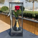 گلدان رز جاودان طرح کاملیا مشکی