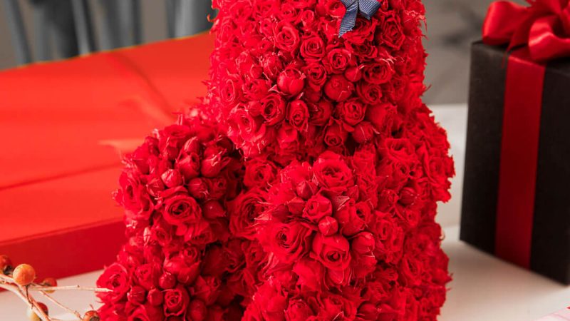 خرص پوشیده شده با گل رز مینیاتوری جاودان روبینا رز
